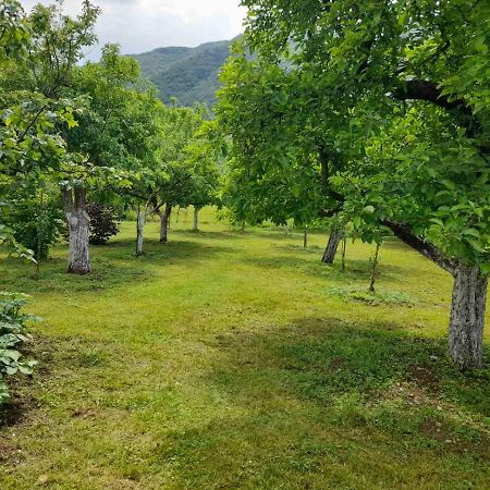 Aleksa Guest House Cetinje Ngoại thất bức ảnh