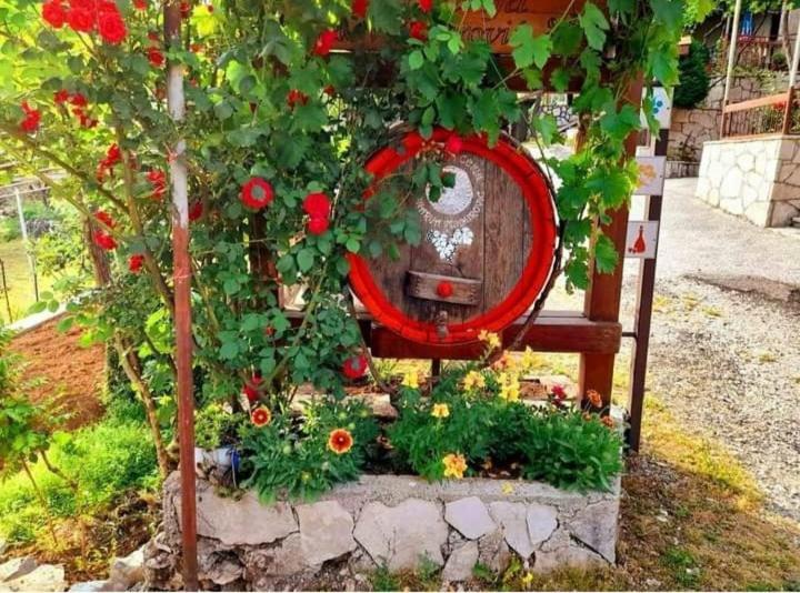 Aleksa Guest House Cetinje Ngoại thất bức ảnh
