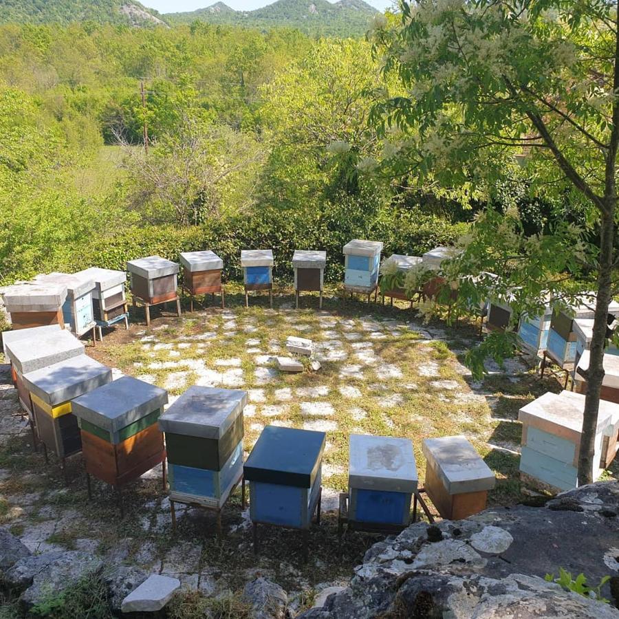 Aleksa Guest House Cetinje Ngoại thất bức ảnh