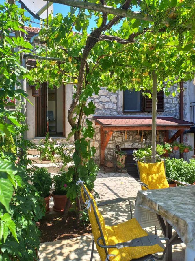 Aleksa Guest House Cetinje Ngoại thất bức ảnh