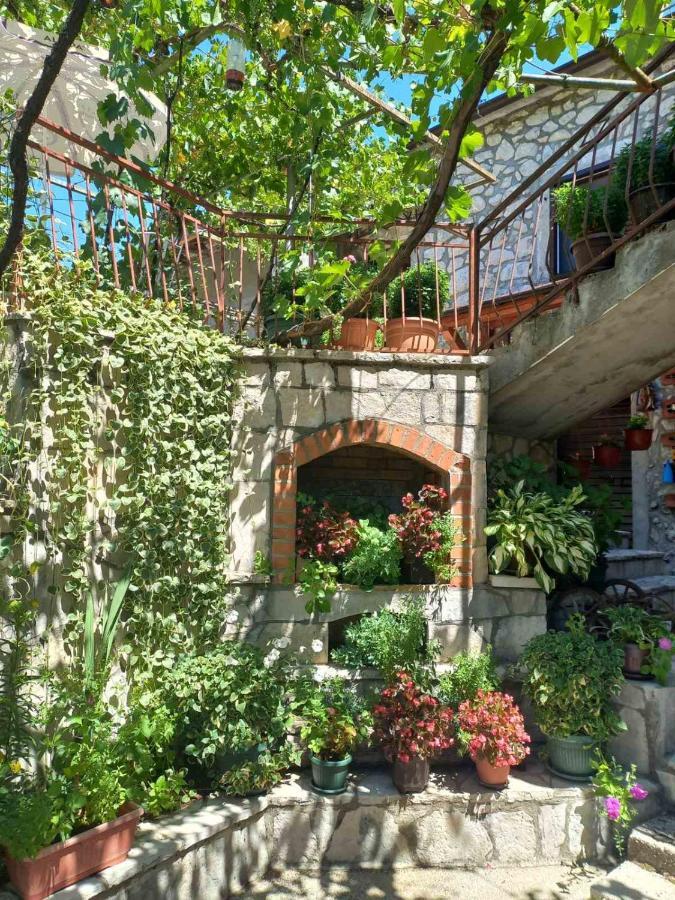 Aleksa Guest House Cetinje Ngoại thất bức ảnh