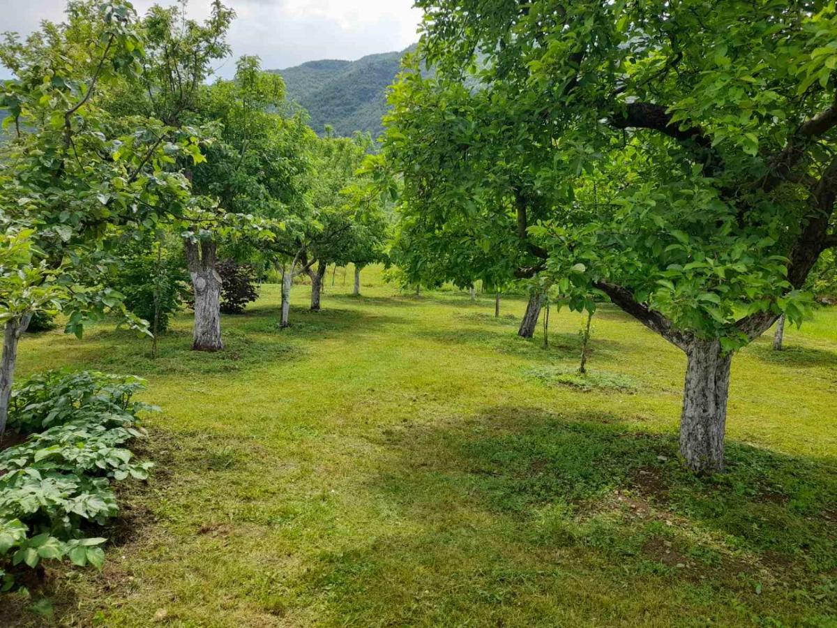 Aleksa Guest House Cetinje Ngoại thất bức ảnh
